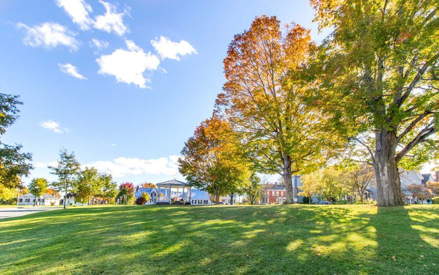 Danville VT Century 21 Farm and Fоrest